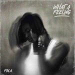 FOLA – Who Does That? ft. Bella Shmurda